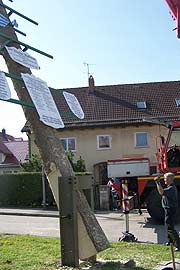 Aufgestellt 2005 in Allach: neuer Maibaum in der Eversbuschstr. 154 (Foto: Martin Schmitz)